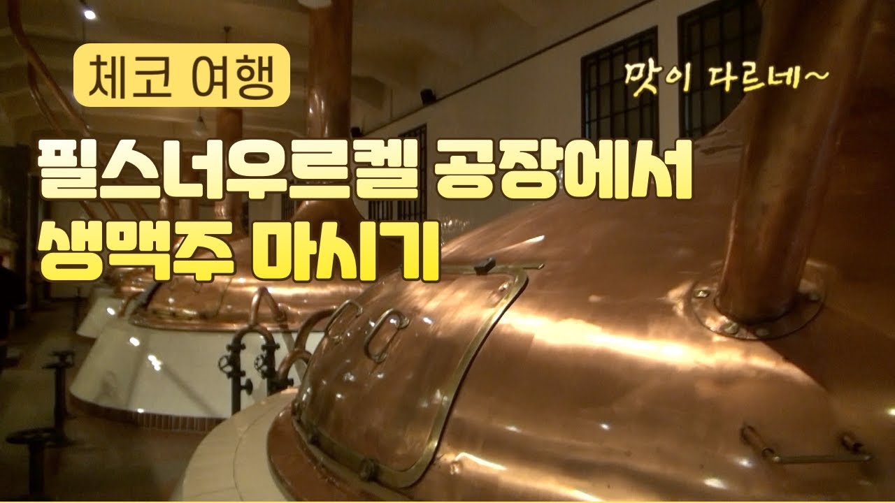 체코 필스너우르켈 공장에서 생맥주 맛보기