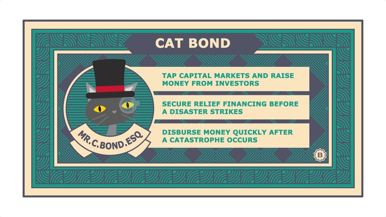 Name's Cat Bond