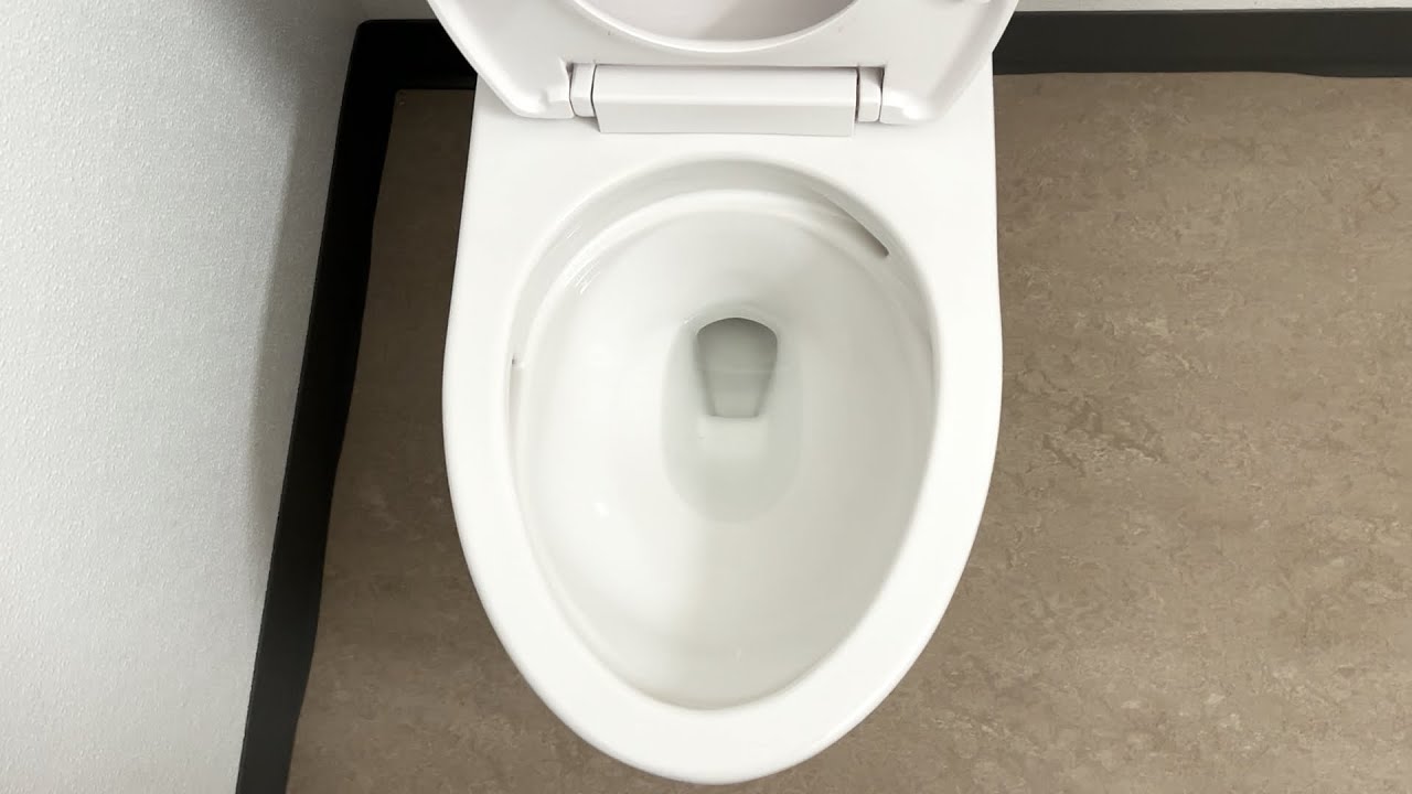 Toto Drake II at a library