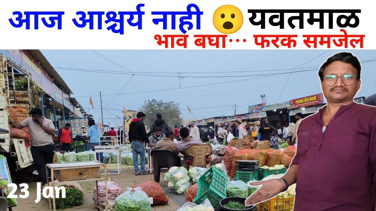 आज यवतमाळ भाजी मंडी भाव 🔻🔺 | कोणती भाजी स्वस्त कोणती महाग?🤔