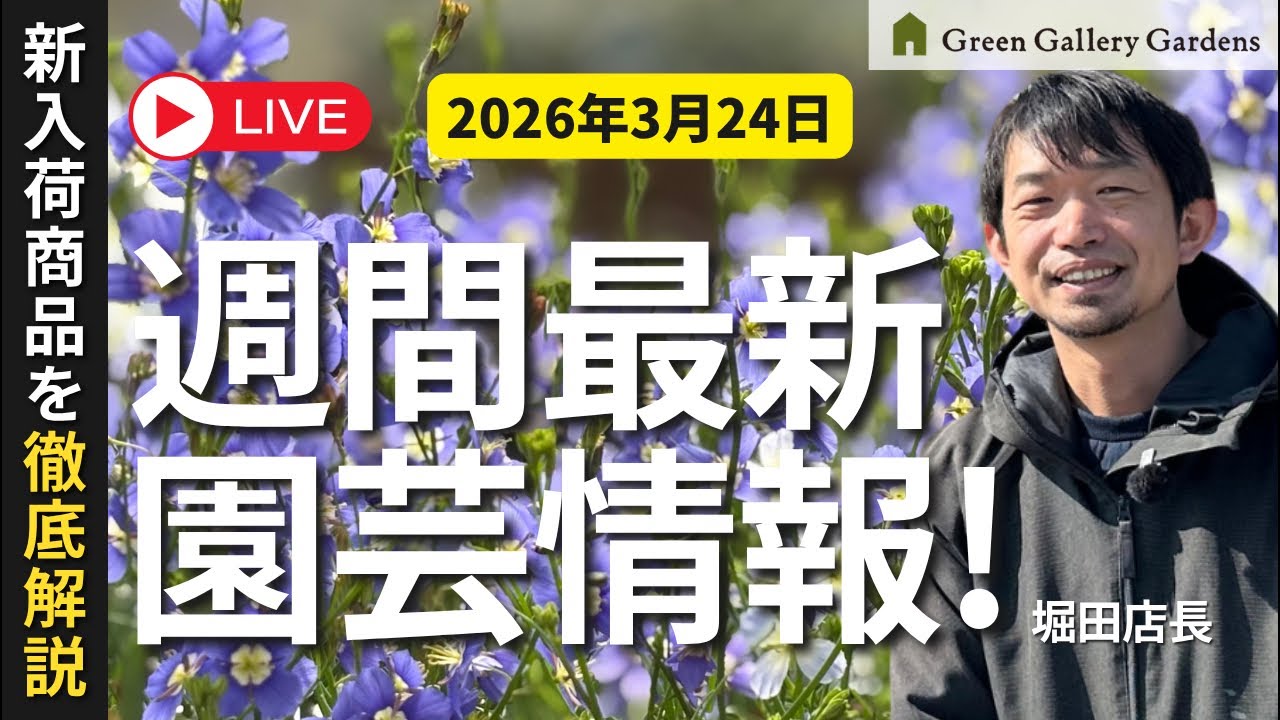 【最新情報】3月24日グリーンギャラリーガーデンズ入荷情報を一挙公開!