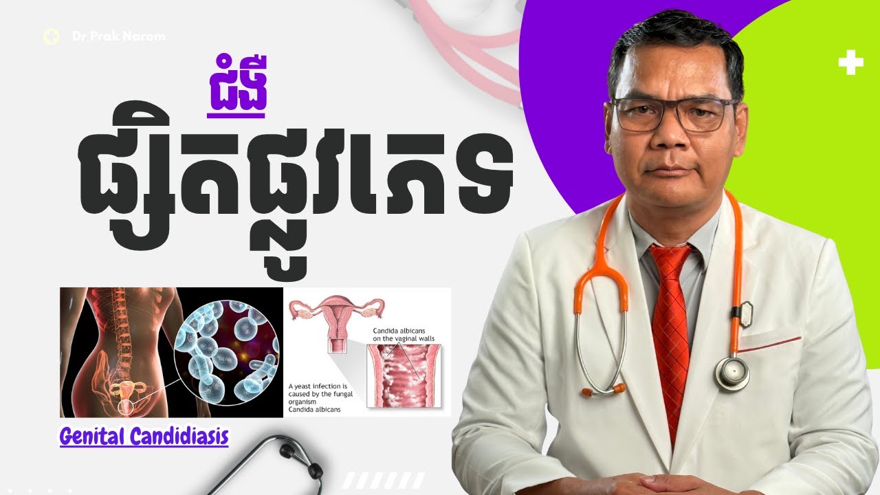 ជំងឺផ្សិតផ្លូវភេទ/Genital Candidiasis