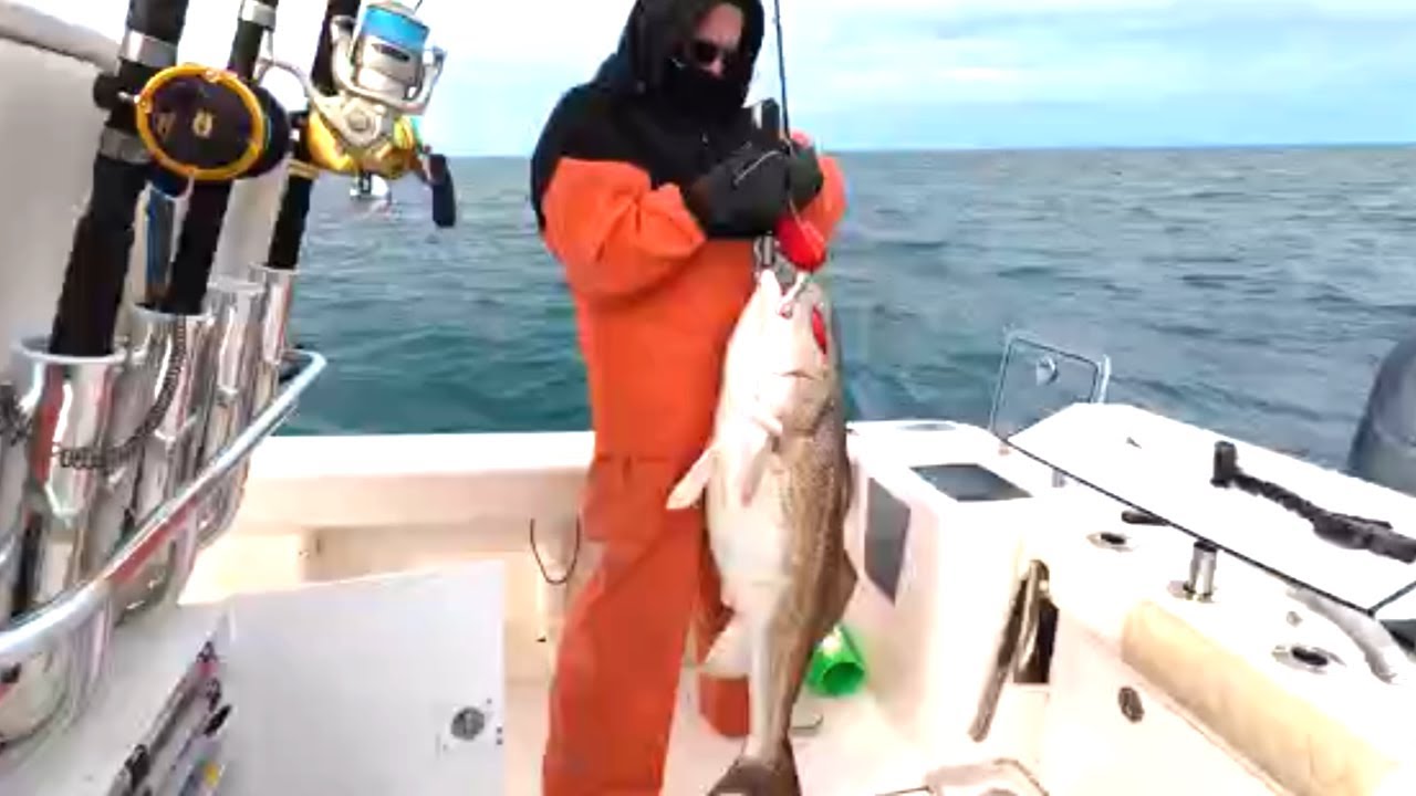Ловля крупного окуня и морского окуня в декабре на медленные джиги | В прибрежной зоне залива Онслоу