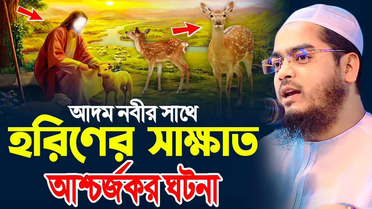 আদম নবী ও হরিণ এর আশ্চর্জকর ঘটনা,হাফীজুর রহমান ছিদ্দীক কুয়াকাটা,hafizur rahman siddiki kuakata