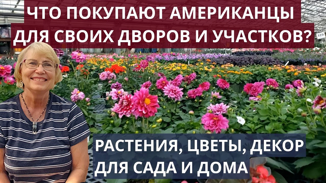 Что покупают американцы для своих дворов и участков. Растения, цветы, декор для сада и  дома.