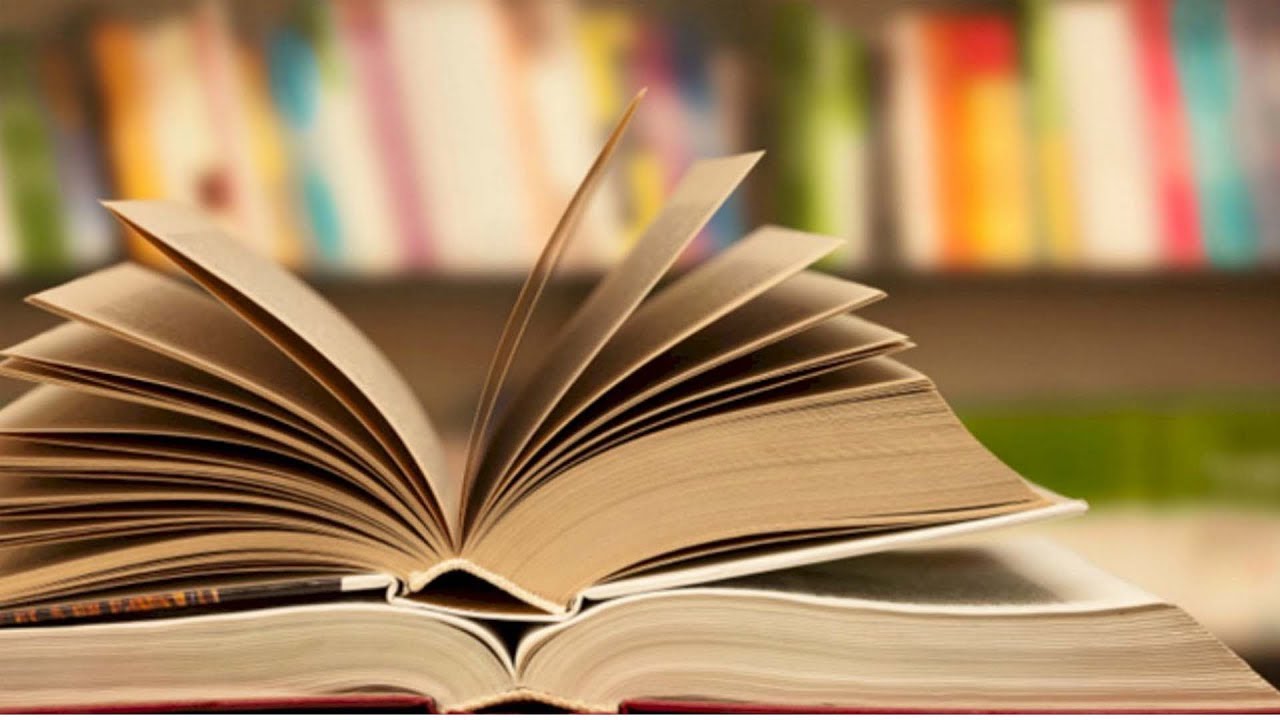 Guarda cosa creo con UN LIBRO - Recycled Book Page