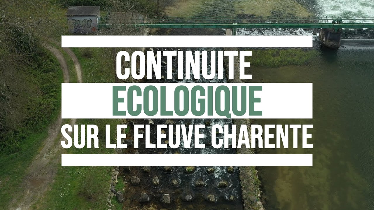 Continuité écologique sur le fleuve Charente - Les aménagements possibles
