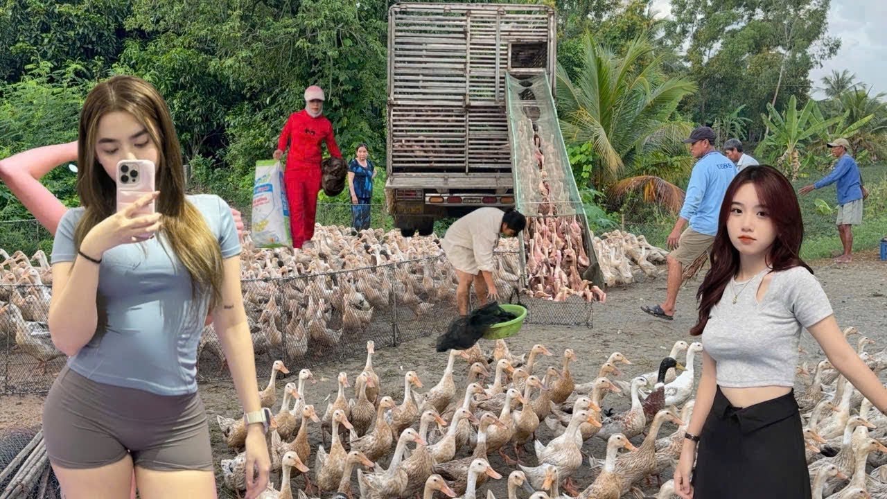 Cận cảnh đang dịch xôn xao đón chào  xe tải  đưa đến  đồng mới ￼
