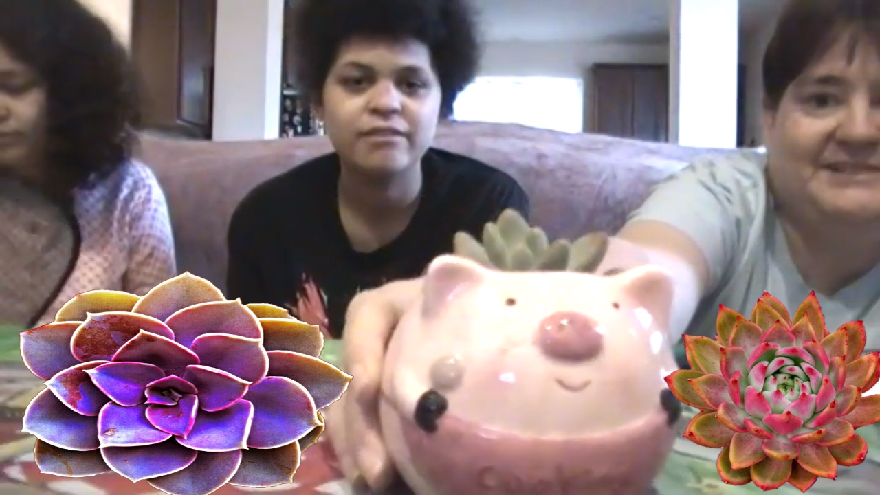 Unboxing Succulent Lovers Box ! 🎍