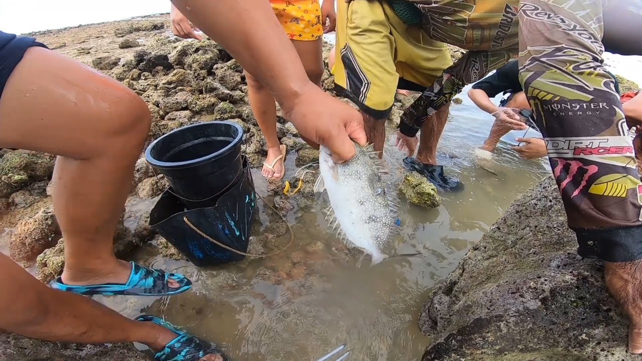 Ang daming isda pag low tide | FISHING IN PHILIPPINES