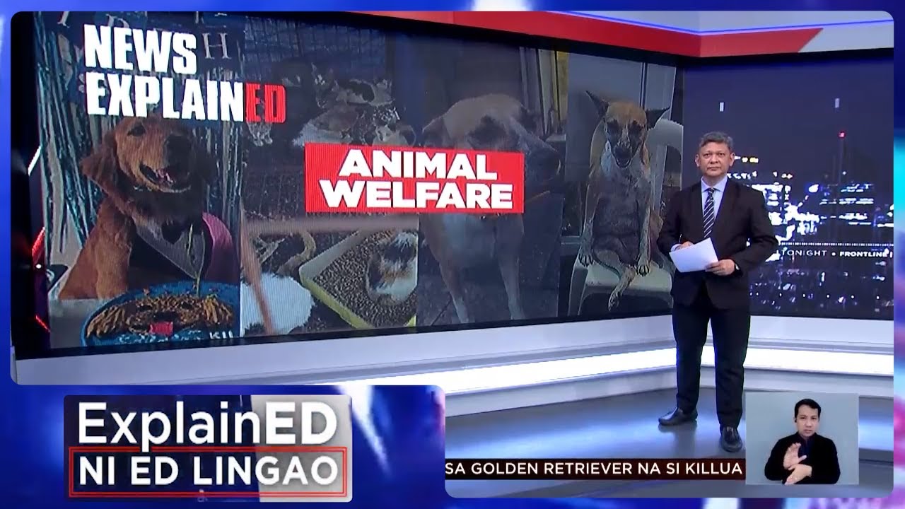 News ExplainED: Animal Welfare Act | Frontline Tonight