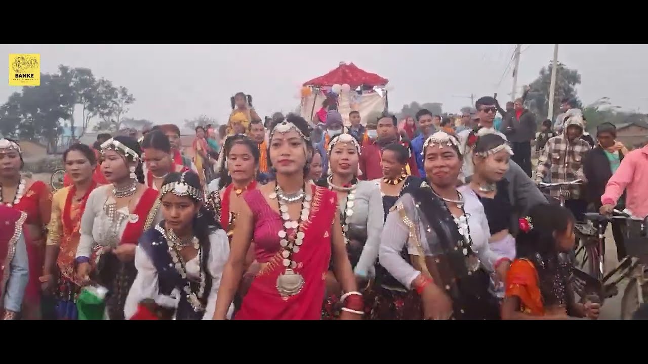 Super-hit Tharu Wedding Bend Baja Dance with Bnake Tharu Community, Banke Bardiya Epic-1