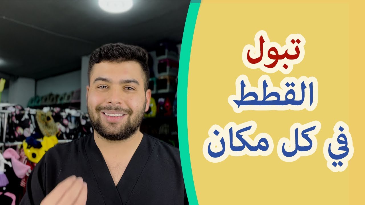 مشكلة تبول القطط خارج الليتر و تبول و تبرز القطط في كل مكان