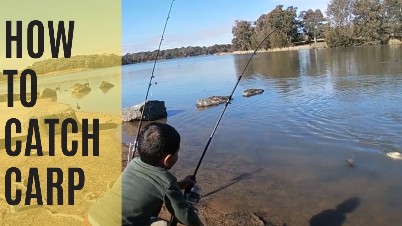 Carp Fishing (4 Year Old's First Carp) @ Canberra, ACT