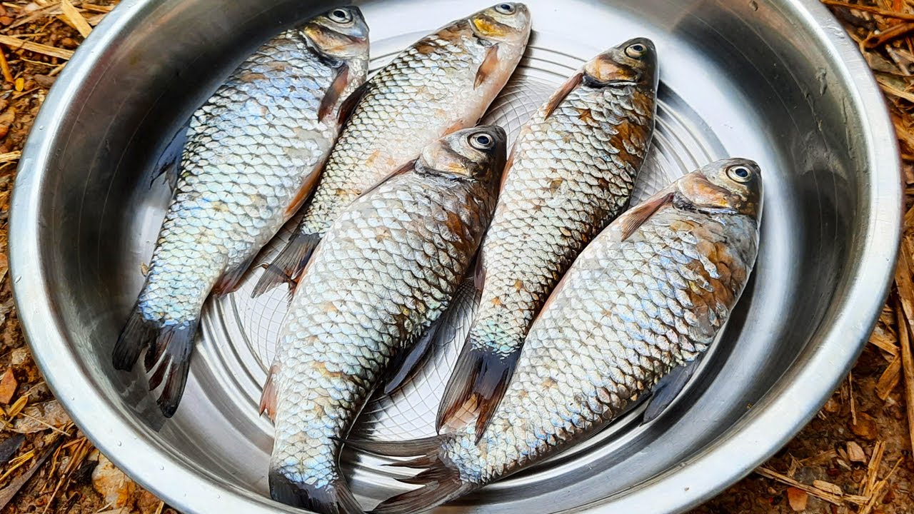 Sarson wali fish curry | Pona machli ka charchari village style recipe | Charapona fish recipe
