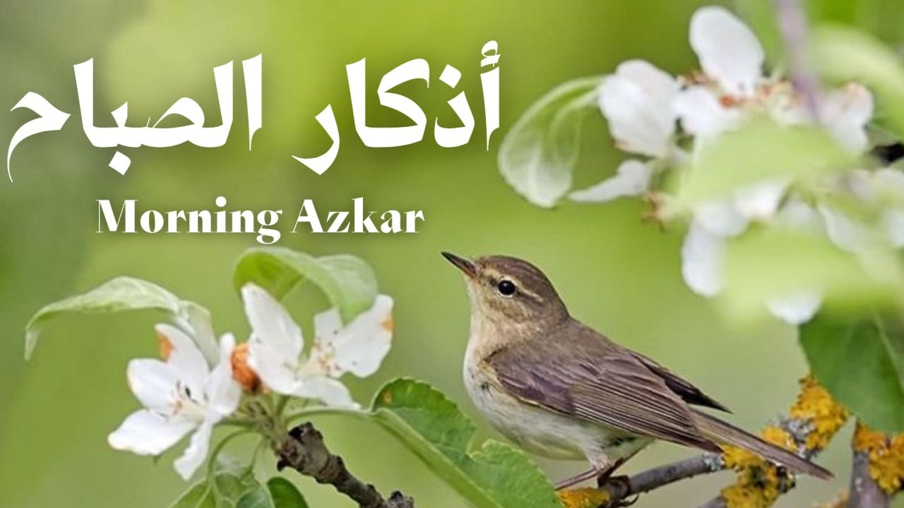 أذكار الصباح | أحمد العجمي | راحة وطمأنينة القلب 🤍 Morning Adhkar