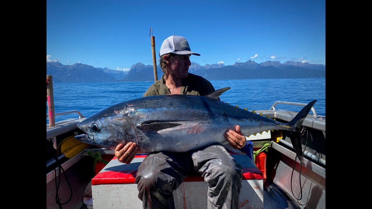 Monster Blue Fin Fishing in Milford Sounds - The Ultimate 3 day Adventure!