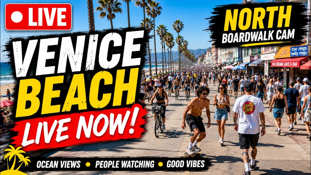 Venice Beach Boardwalk Live Cam 24/7 🌴 – Chill Vibes & Ocean Views 🌊🌴  | Los Angeles | people watch