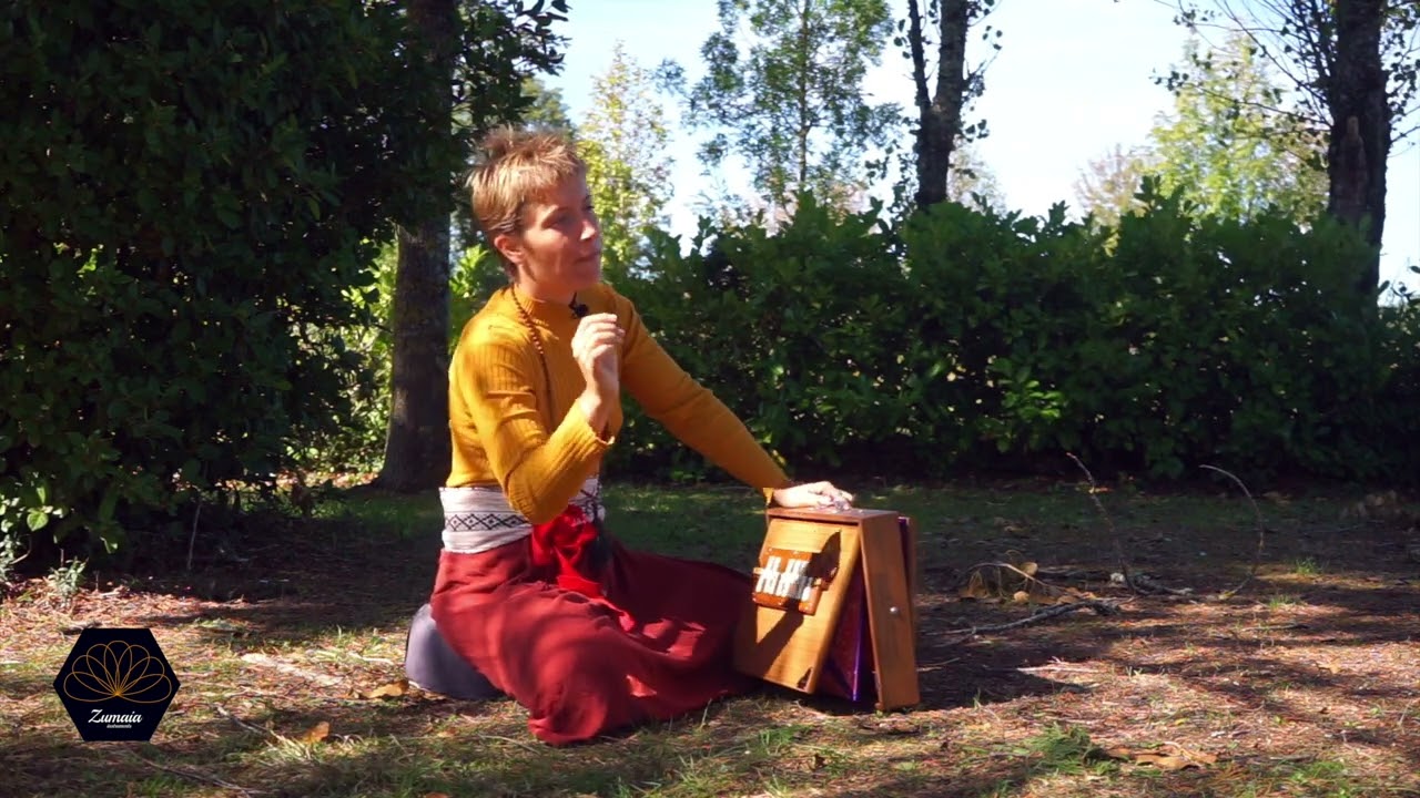 shruti box chant méditatif