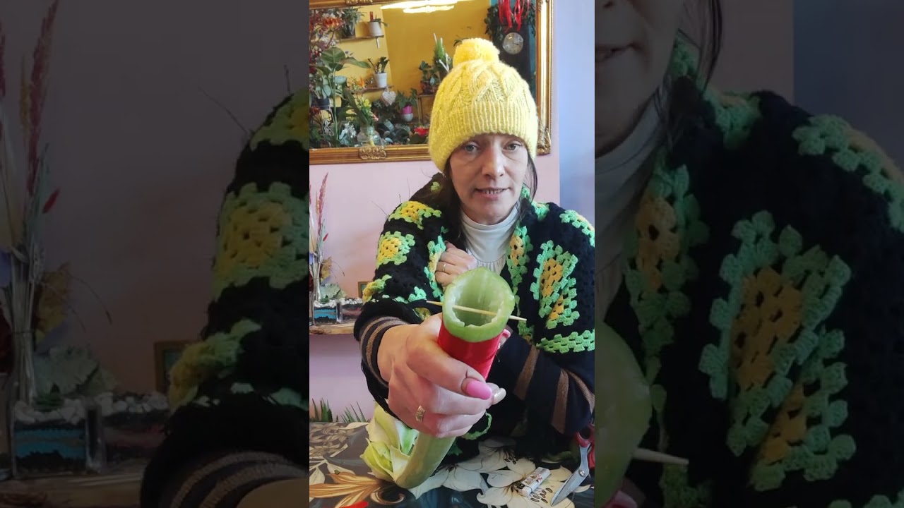 Jak przygotować podwieszany amarylis 😁