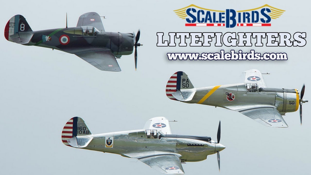 ScaleBirds, LiteFighter Replica Aircraft, Verner Radial Aircraft Engines.