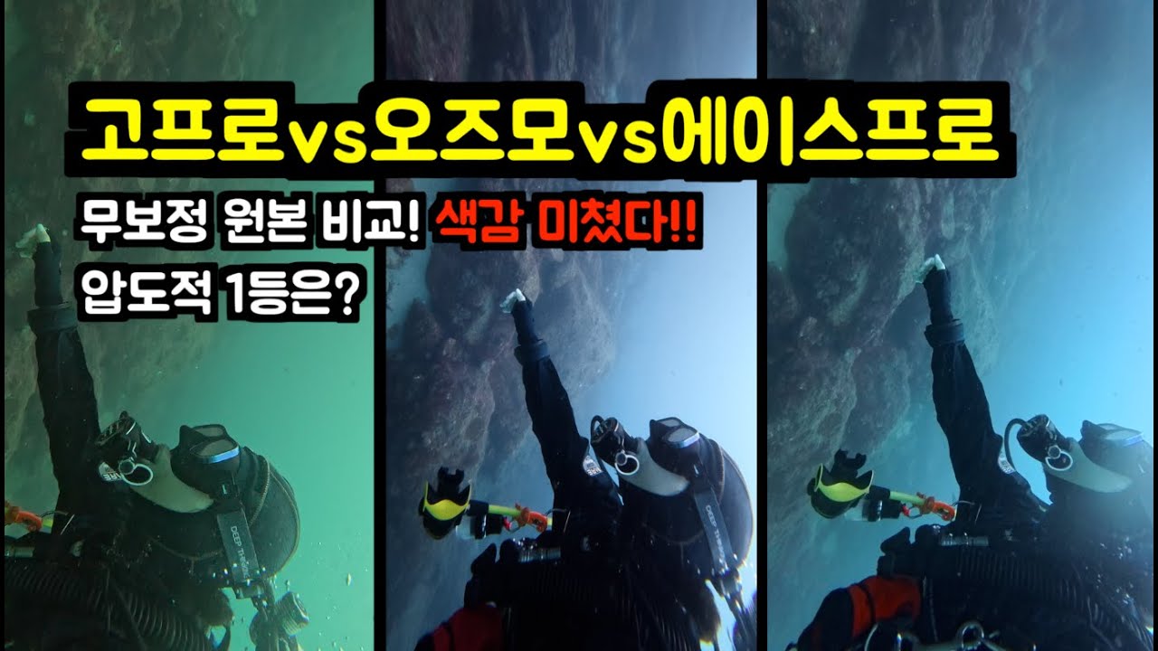 수중 촬영 액션캠 고민이라면? 고프로12 vs DJI 오즈모 액션6 vs 인스타 360 에이스 프로2 이 영상 하나로 종결!!