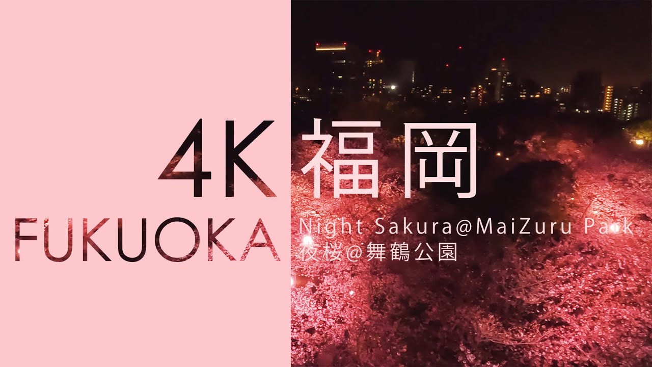 4K Japan City Ride - Fukuoka (福岡) Sakura Night walk at MaiZuru Park (舞鶴公園夜桜イルミネーション) - 2023