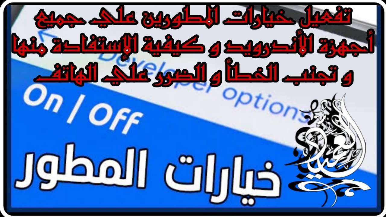 ما هي خيارات المطورين ؟