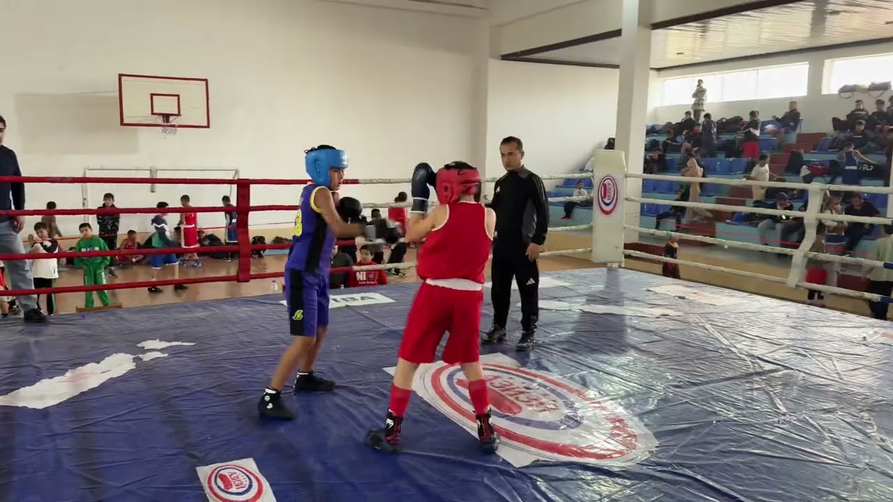 Полуфинал международный турнир 🏟️ 
