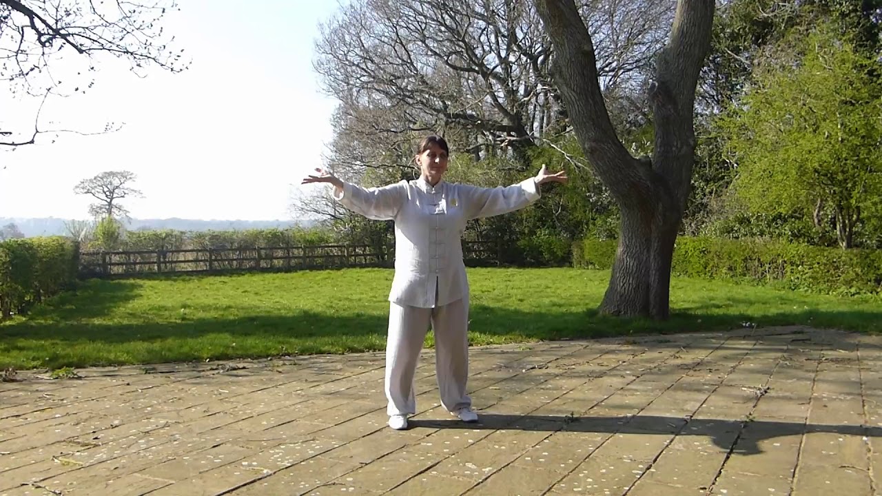 Five Animal Qigong - Front View