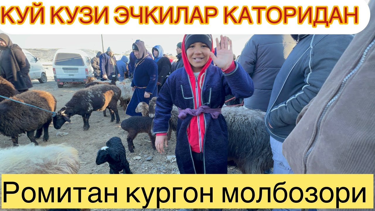 12.03.26. РОМИТАН КУРГОН МОЛБОЗОРИ КУЙ КУЗИ ЭЧКИ ХАММАСИДАН