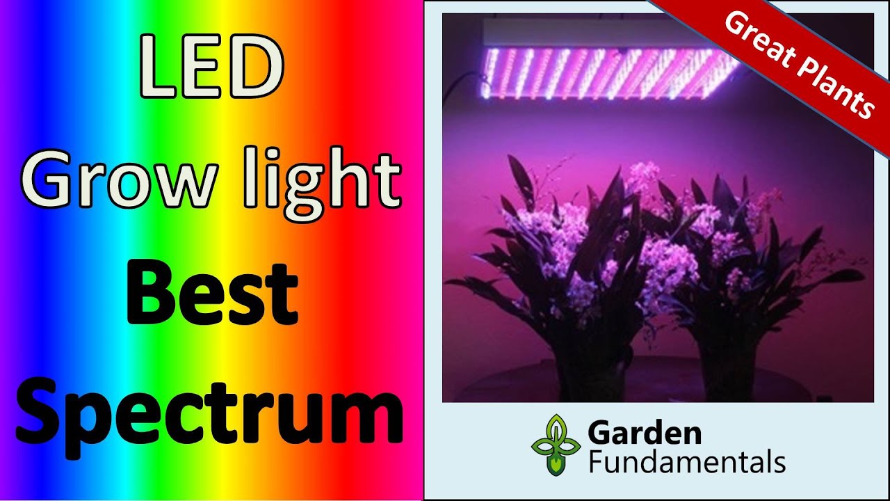 Best LED Grow Lights 💡🎭🔊  Getting the Right Color Spectrum