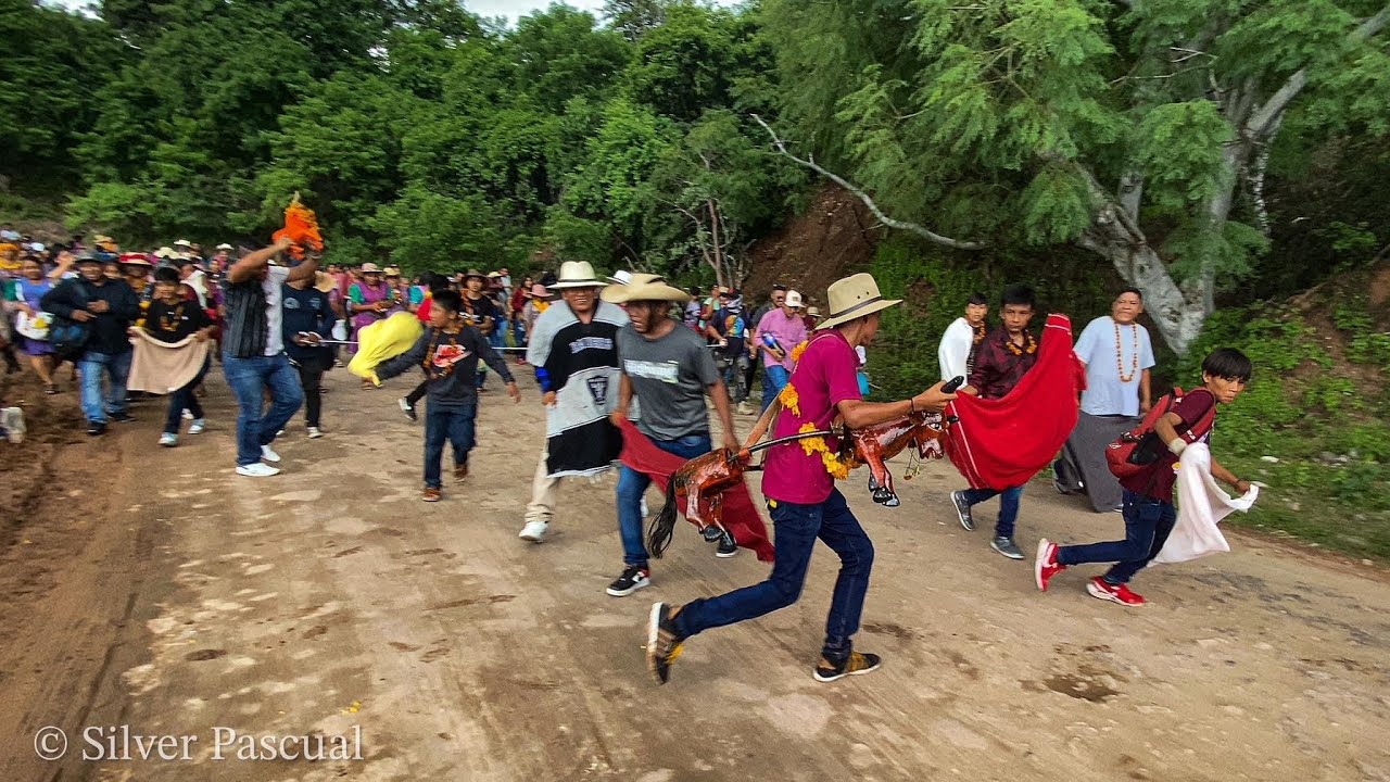 Así se llevó el cabo el inicio del festejo de San Lucas | Ahuehuepan Guerrero 2023 | (Parte 2)