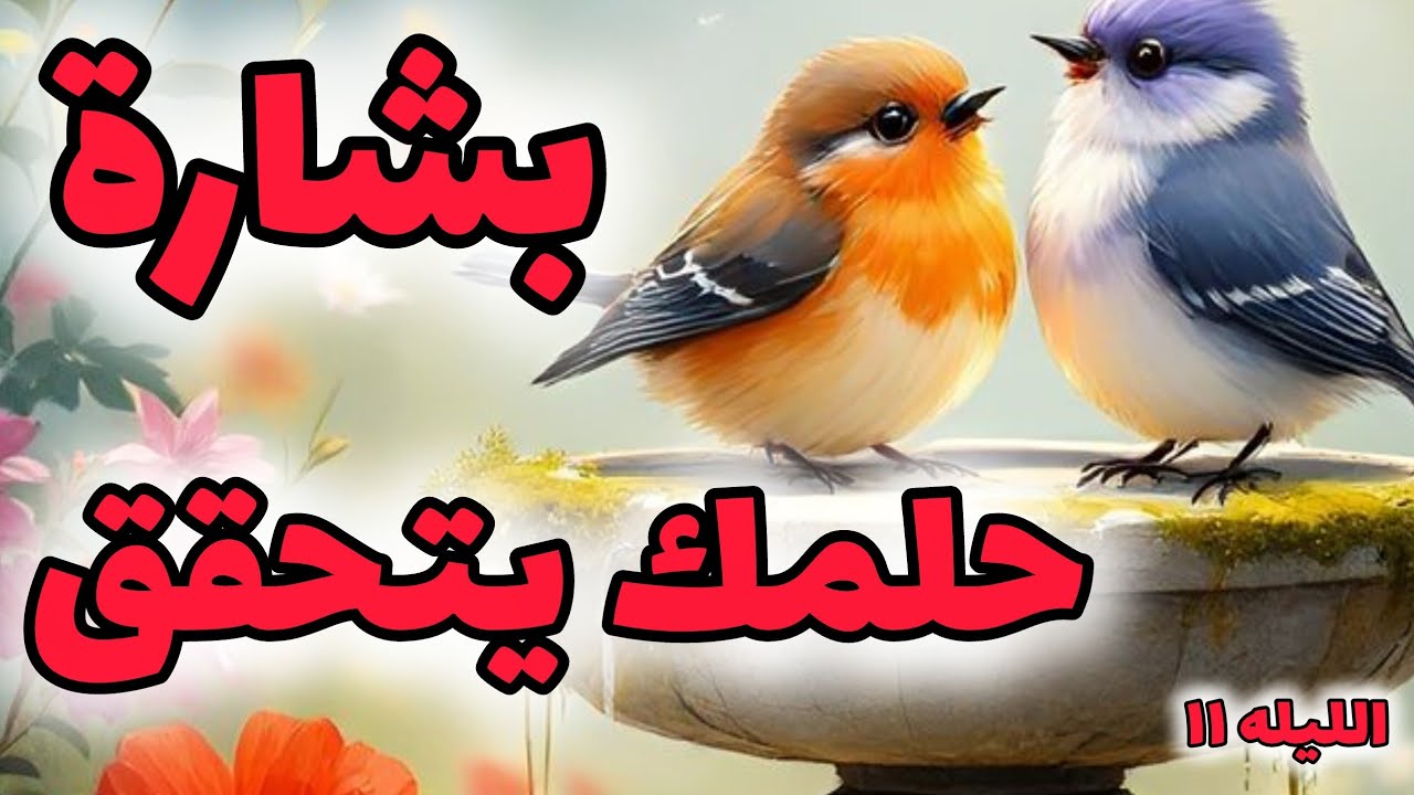 بشاره ما كنت تحلم به يتحقق