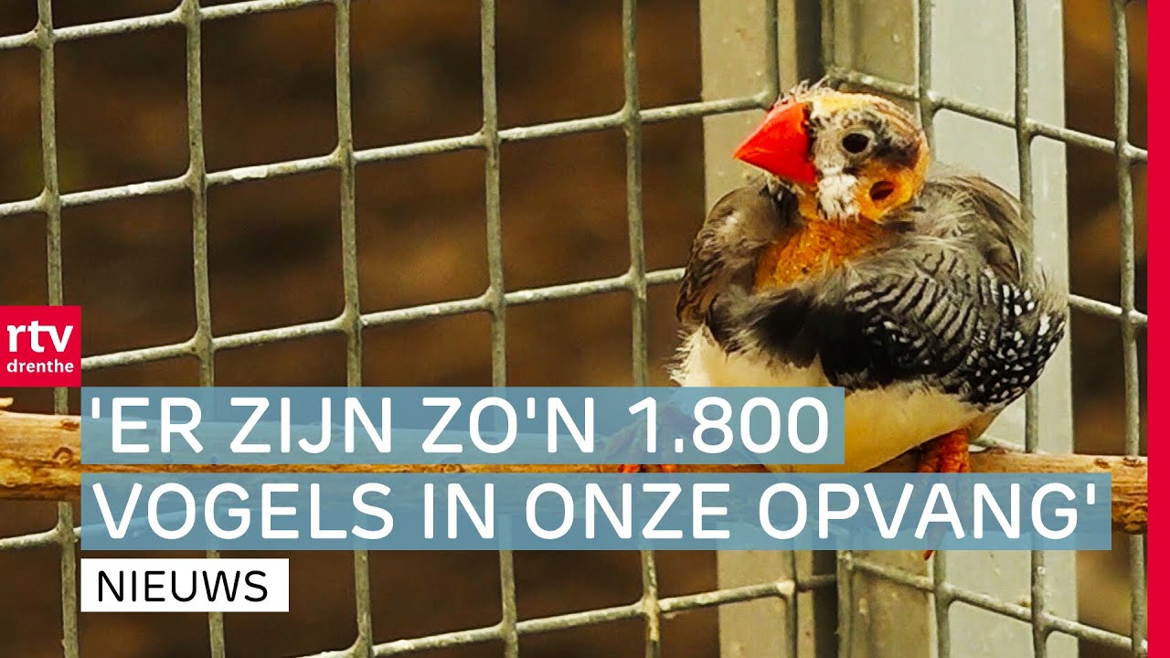 Vogelopvang World of Birds Foundation | Expeditie Nederland | RTV Drenthe