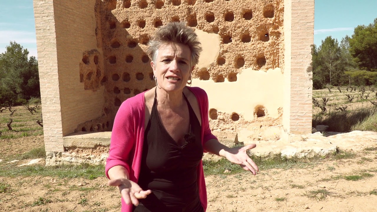 Territori EVA Pened&egrave;s. Arbo&ccedil;ar de Baix (Avinyonet) 