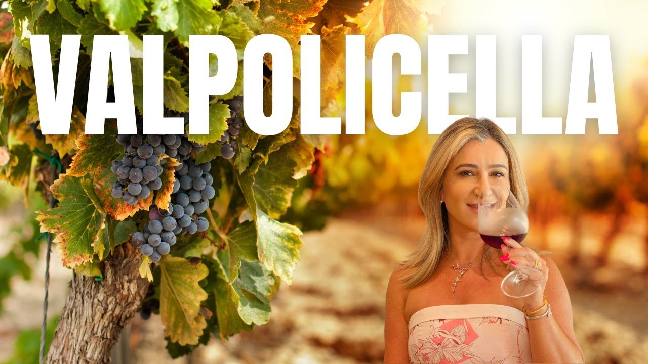 Descubra o Segredo do Valpolicella com a Vinícola Tommasi