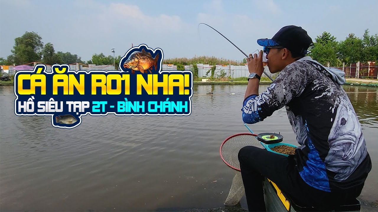 Cá Ăn Rơi Nha Anh Em Câu Không Kịp Uống Nước | Hồ Siêu Tập 2T #yongfeng97fishing #caudai #câucáchép