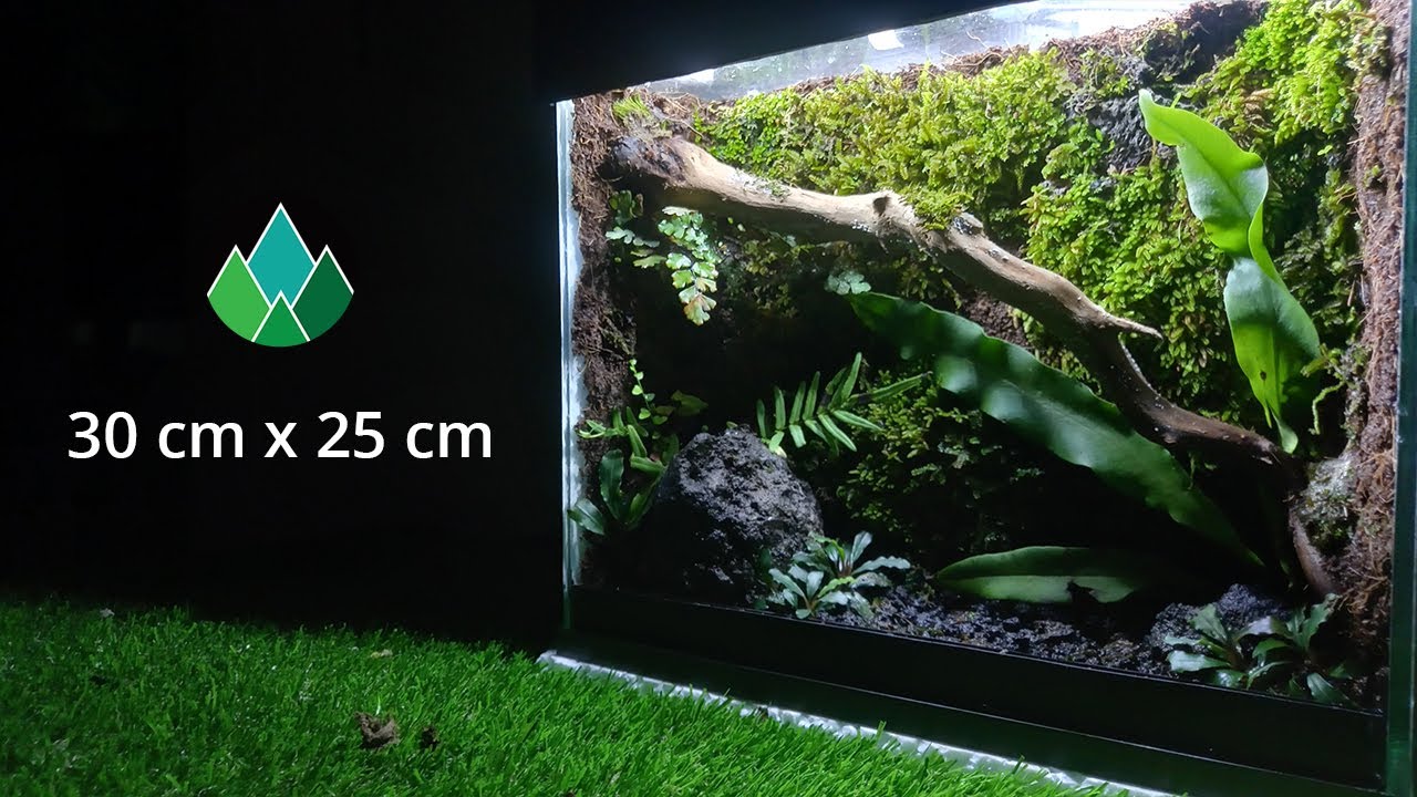 Moss Wall Terrarium