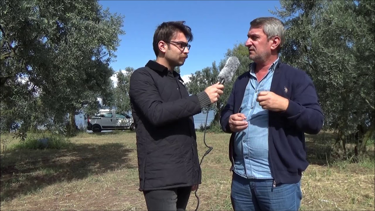 Zeytin'de Mebor farkı(Bursa/orhangazi/gölyaka)