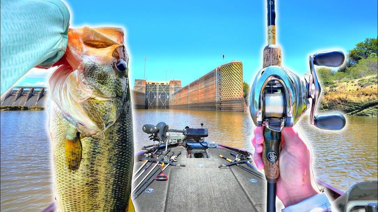 Fishing A LOCAL Springtime Bass TOURNAMENT (Giant Caught)