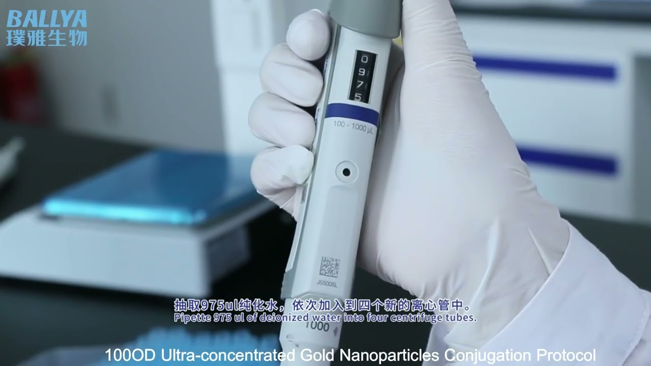 How To Use 100OD Colloidal Gold? Ultra Concentrated Gold Nanoparticles Conjugation Protocol