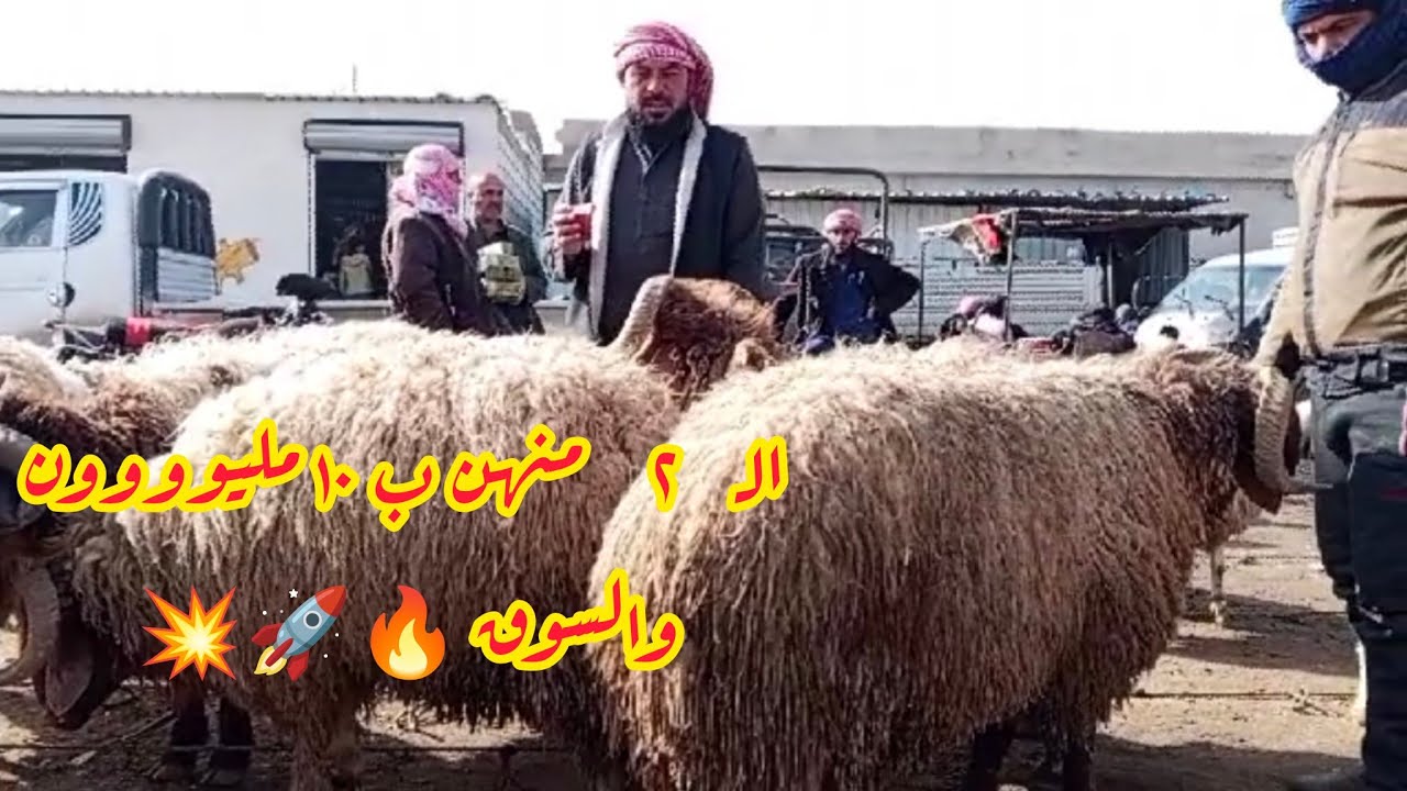 سوق الحدادية اليوم 2026/2/18 #الخاروف #مع #ابو #عزام#نااار💥🚀🔥💥🔥💥🔥💥