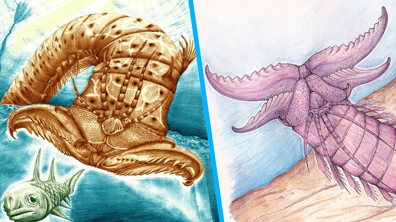 Giant Prehistoric Predatory Worms