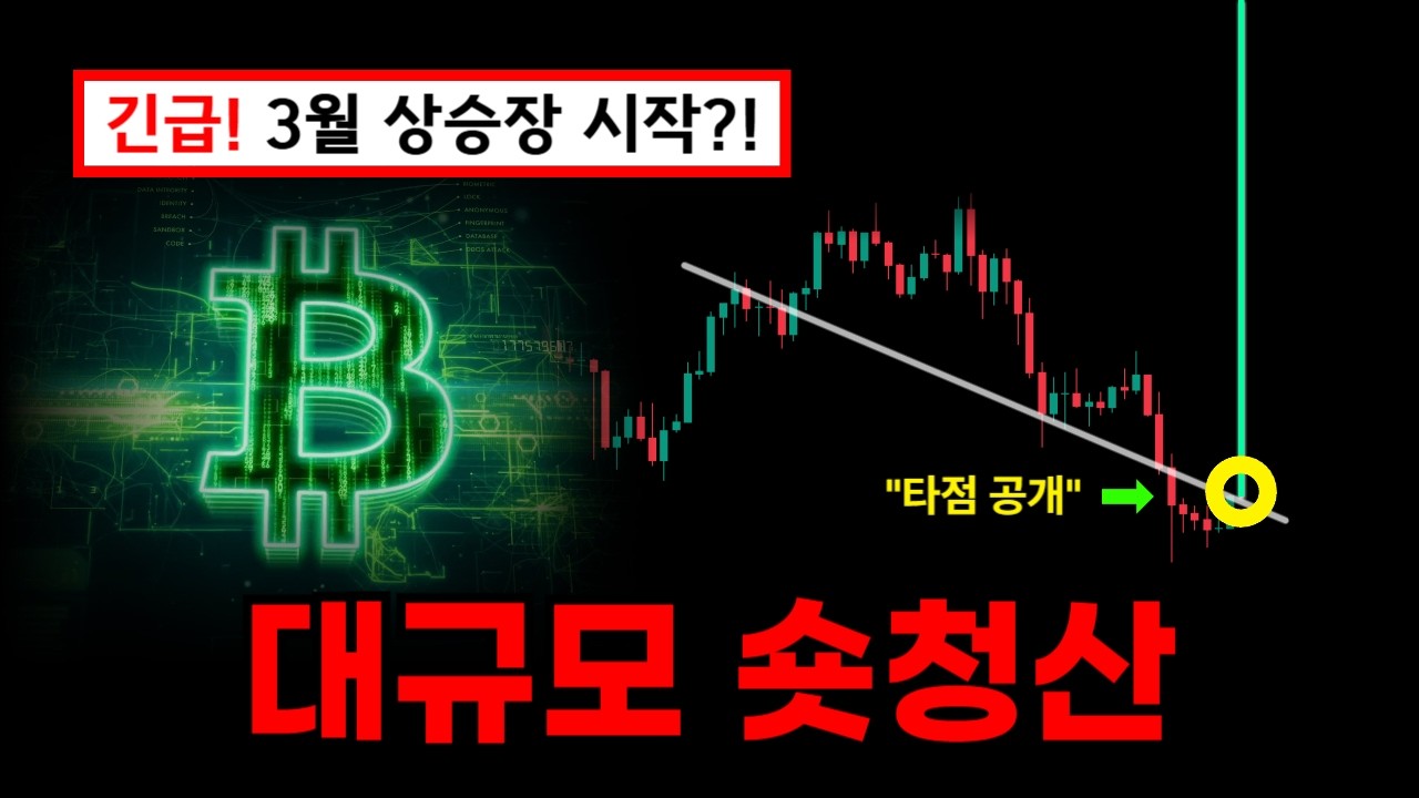비트코인 하락 관점 폐기?! 모르면 큰일납니다.