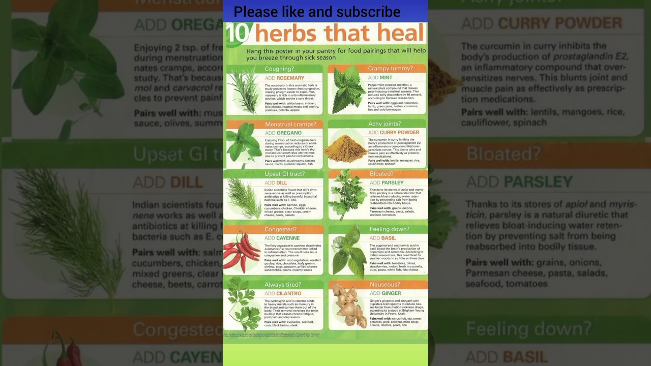 Herbs That heal Best Healing Medicinal Herbs, Spices And Plants Names, Health Benefits