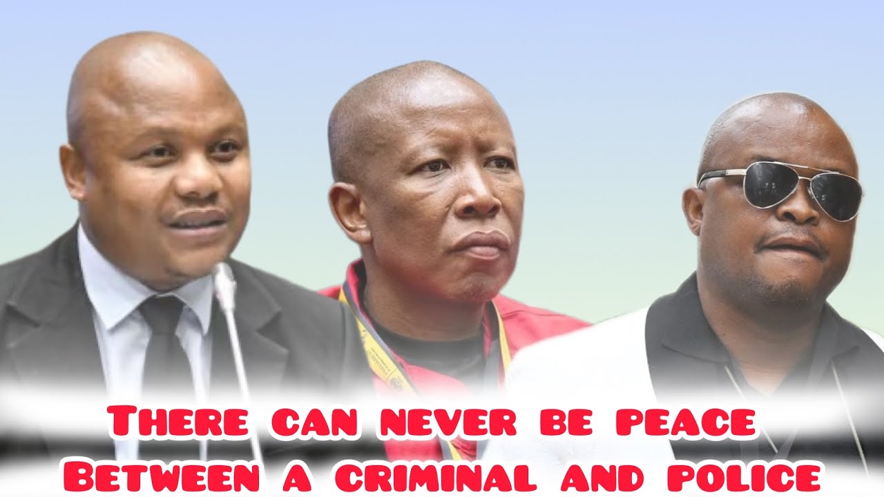MPs cooking Brown Mogotsi,' There can never be peace between a criminals and the police