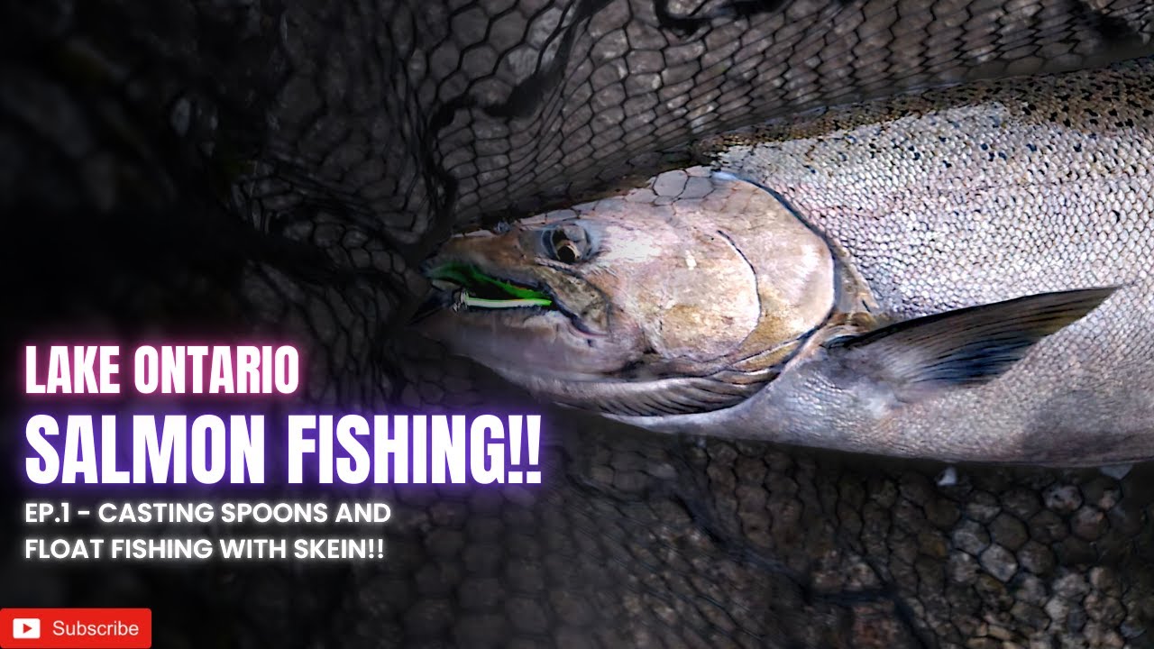 CRAZY LATE AUGUST SALMON FISHING!! (Lake Ontario Pier Fishing!)