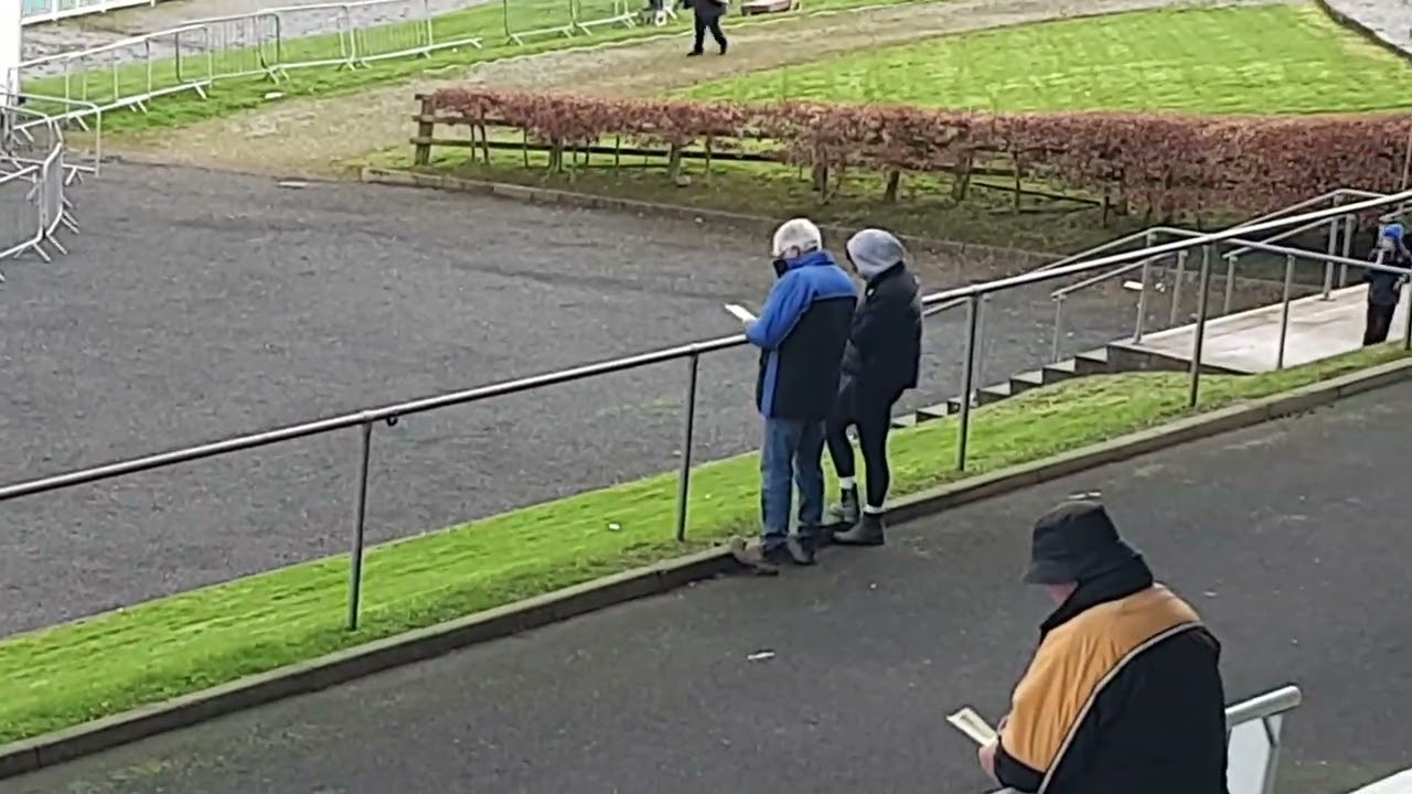Qt finalists in the Irish Cup coursing 2026 at Patrickswell.