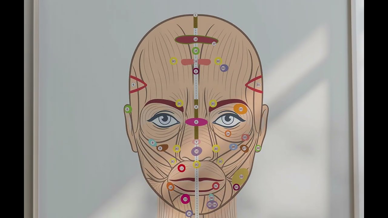 Reflexology Chart of Face and Tongue from www.educare.design
